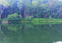 Northern Route: 10 วัน 9 คืน 6 จังหวัด เหนือตอนบน