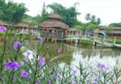 Loop Nature :เชียงใหม่ - แม่ฮ่องสอน 6วัน5คืน