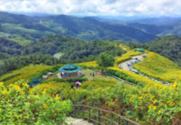 Northern Route: 10 วัน 9 คืน 6 จังหวัด เหนือตอนบน