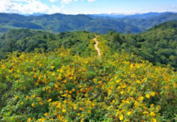 Northern Route: 10 วัน 9 คืน 6 จังหวัด เหนือตอนบน