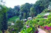 Northern Route: 10 วัน 9 คืน 6 จังหวัด เหนือตอนบน