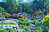 Northern Route: 10 วัน 9 คืน 6 จังหวัด เหนือตอนบน