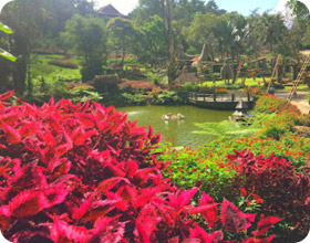ทริปท่องเที่ยวเชียงใหม่