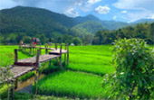 North Weird: 5 วัน 4 คืน เชียงราย เชียงใหม่ แม่ฮ่องสอน