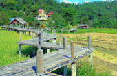 North Weird: 5 วัน 4 คืน เชียงราย เชียงใหม่ แม่ฮ่องสอน