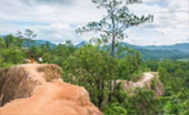 North Weird: 5 วัน 4 คืน เชียงราย เชียงใหม่ แม่ฮ่องสอน