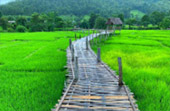 North Weird: 5 วัน 4 คืน เชียงราย เชียงใหม่ แม่ฮ่องสอน