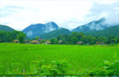 North Weird: 5 วัน 4 คืน เชียงราย เชียงใหม่ แม่ฮ่องสอน