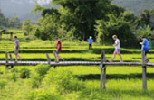 North Weird: 5 วัน 4 คืน เชียงราย เชียงใหม่ แม่ฮ่องสอน