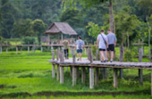 North Weird: 5 วัน 4 คืน เชียงราย เชียงใหม่ แม่ฮ่องสอน