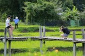 North Weird: 5 วัน 4 คืน เชียงราย เชียงใหม่ แม่ฮ่องสอน