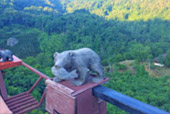 Over Top Road: เชียงราย น่าน ระดับความทรงจำ