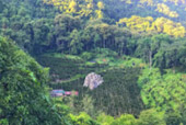 Over Top Road: เชียงราย น่าน ระดับความทรงจำ
