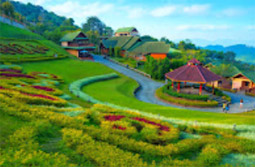 The Hills: 7 ดอย 3 วัน 2 คืน เชียงราย The Hills: 7 ดอย 3 วัน 2 คืน เชียงราย