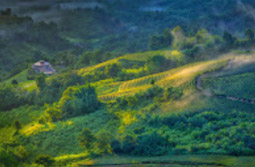 The Hills: 7 ดอย 3 วัน 2 คืน เชียงราย The Hills: 7 ดอย 3 วัน 2 คืน เชียงราย