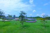 Over Top Road: เชียงราย น่าน ระดับความทรงจำ