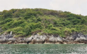 เกาะมะพร้าว โปรแกรมครึ่งวัน