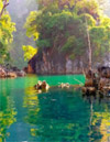 Cook, the Explorer: 3 จังหวัด: ชุมพร สุราษ กระบี่