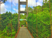 Cook, the Explorer: 3 จังหวัด: ชุมพร สุราษ กระบี่