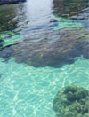 Marine Sightseeing: 3 วัน 2 คืน ประจวบ ชุมพร