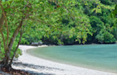 เช่าเหมาลำเรือ เกาะกุลา