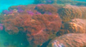 Marine Sightseeing: 3 วัน 2 คืน ประจวบ ชุมพร