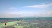 Marine Sightseeing: 3 วัน 2 คืน ประจวบ ชุมพร