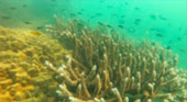 Marine Sightseeing: 3 วัน 2 คืน ประจวบ ชุมพร