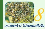 เกาะมะพร้าว โปรแกรมครึ่งวัน