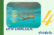 เกาะ Dracula: ทัวร์เต็มวัน