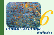 เกาะลังกาจิว เกาะกุลา ทัวร์วันเดียว