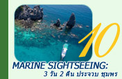 Marine Sightseeing: 3 วัน 2 คืน ประจวบ ชุมพร