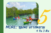 More: ชุมพร เกาะพยาม 4 วัน 3 คืน