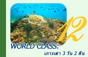 World Class: เกาะเต่า 3 วัน 2 คืน
