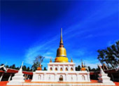 More: ชุมพร เกาะพยาม 4 วัน 3 คืน
