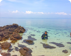 Uninhabited Islands: สำรวจ 3 เกาะ ร้าง ชุมพร