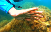 Signature Points: หมู่เกาะง่าม