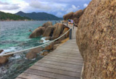 เกาะนางยวน เกาะเต่า 3 วัน 2 คืน