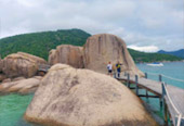 เกาะนางยวน เกาะเต่า 3 วัน 2 คืน