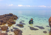 Uninhabited Islands: สำรวจ 3 เกาะ ร้าง ชุมพร