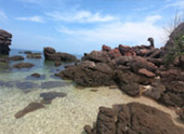 Uninhabited Islands: สำรวจ 3 เกาะ ร้าง ชุมพร