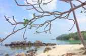 Uninhabited Islands: สำรวจ 3 เกาะ ร้าง ชุมพร