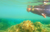 Uninhabited Islands: สำรวจ 3 เกาะ ร้าง ชุมพร