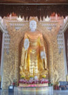 Feed your soul ปีนัง ลังกาวี