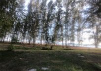 A whole new perspective: เกาะหลีเป๊ะ