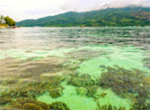 A whole new perspective: เกาะหลีเป๊ะ