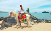 Caught smiling: 5 วัน 4 คืน หาดใหญ่ เบตง หลีเป๊ะ