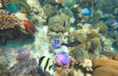 Caught smiling: 5 วัน 4 คืน หาดใหญ่ เบตง หลีเป๊ะ