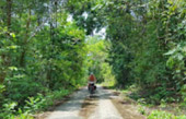 Trailblazer: เกาะตะรุเตา 2 วัน 1 คืน