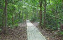 Trailblazer: เกาะตะรุเตา 2 วัน 1 คืน